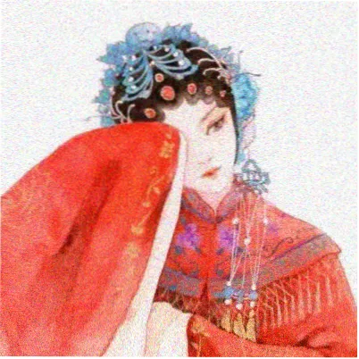 观众陈女士头像